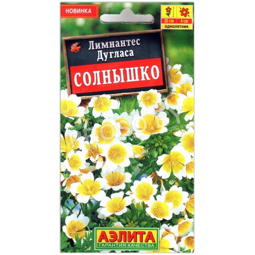 Лимнантес дугласа Солнышко