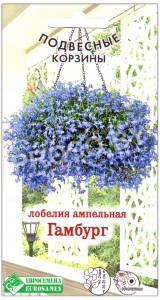 Лобелия ампельная Гамбург