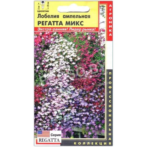 Лобелия ампельная Регатта микс (regatta mix) F1