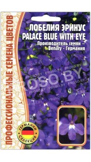 Лобелия эринус Palace blue with eye