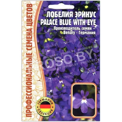 Лобелия эринус Palace blue with eye