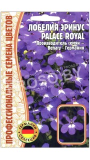 Лобелия эринус Palace royal
