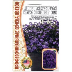 Лобелия кустовая Ривьера миднайт блю (riviera midnight blue) F1