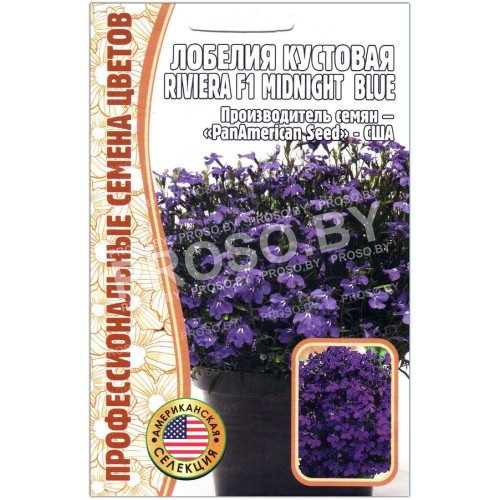 Лобелия кустовая Ривьера миднайт блю (riviera midnight blue) F1-1