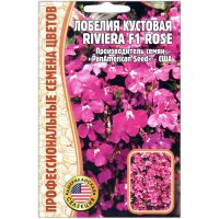 Лобелия кустовая Ривьера роуз (riviera rose) F1