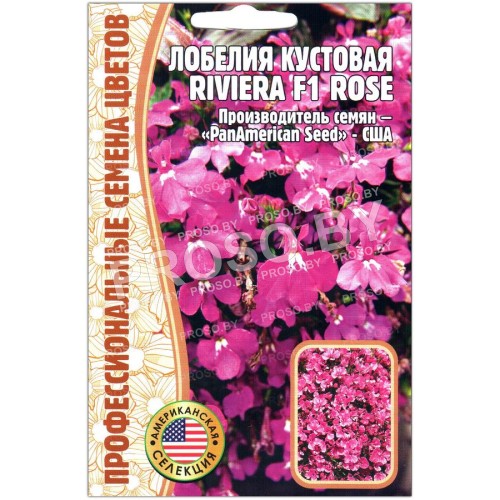 Лобелия кустовая Ривьера роуз (riviera rose) F1-1