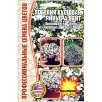 Лобелия кустовая Ривьера вайт