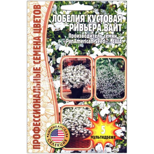 Лобелия кустовая Ривьера вайт-1