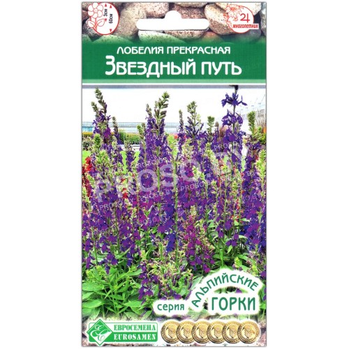 Лобелия прекрасная Звездный путь