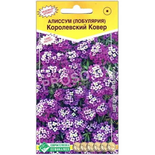 Лобулярия Королевский ковер