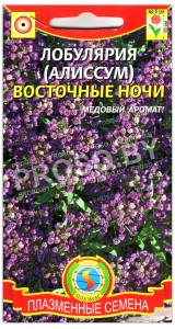 Лобулярия Восточные ночи
