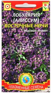 Лобулярия Восточные ночи