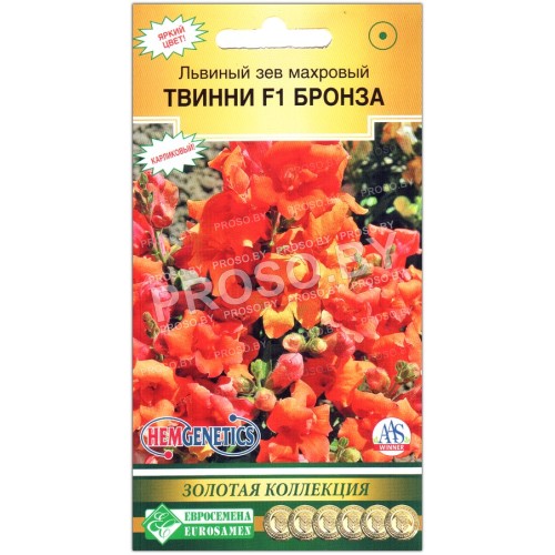 Львиный зев махровый Твинни бронза F1