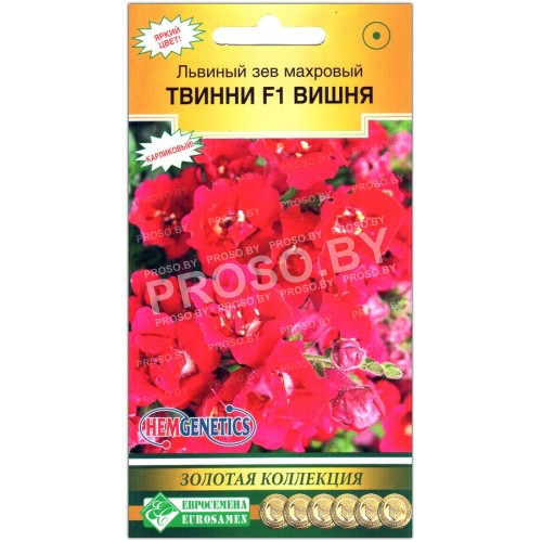 Львиный зев махровый Твинни вишня F1