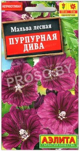 Мальва лесная Пурпурная дива