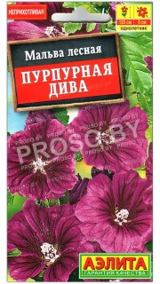 Мальва лесная Пурпурная дива