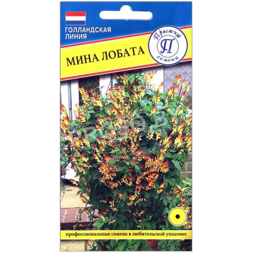 Мина Лобата