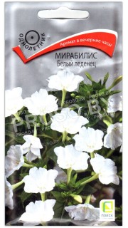 Мирабилис Белый леденец