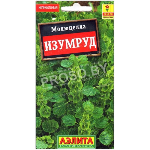 Молюцелла Изумруд