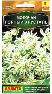 Молочай Горный хрусталь
