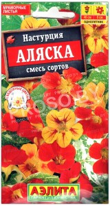 Настурция Аляска, смесь