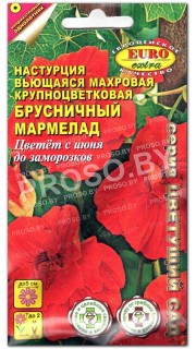 Настурция Брусничный мармелад
