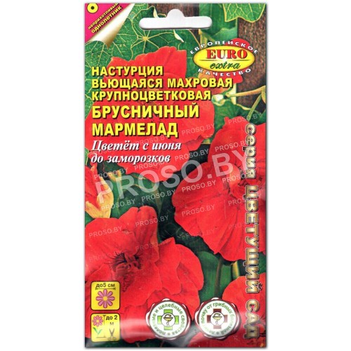 Настурция Брусничный мармелад