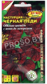 Настурция Черная леди