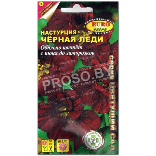 Настурция Черная леди