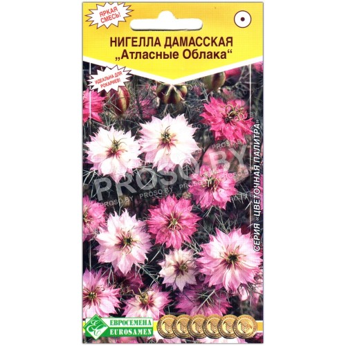 Нигелла дамасская Атласные облака