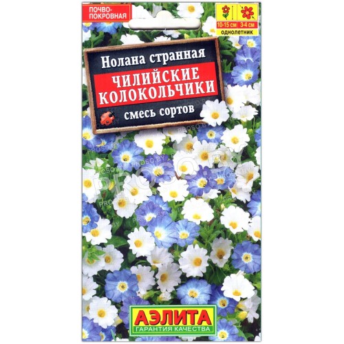 Нолана странная Чилийские колокольчики, смесь