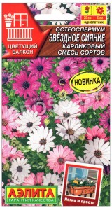 Остеоспермум карликовый Звездное сияние, смесь