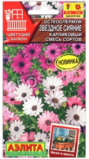 Остеоспермум карликовый Звездное сияние, смесь