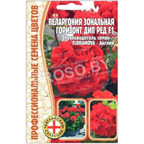 Пеларгония зональная Горизонт дип ред F1