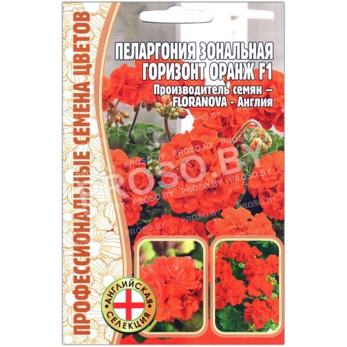 Пеларгония зональная Горизонт оранж F1
