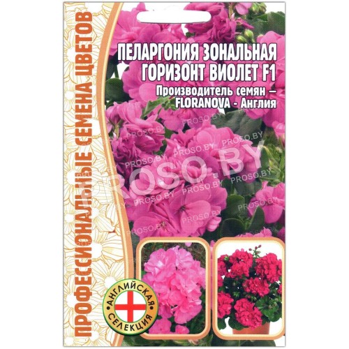 Пеларгония зональная Горизонт виолет F1