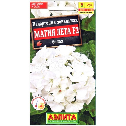 Пеларгония зональная Магия лета белая F2