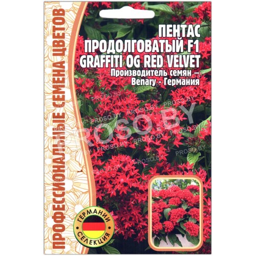 Пентас продолговатый Graffiti og red velvet F1