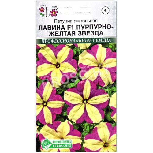 Петуния ампельная Лавина пурпурно-желтая звезда F1