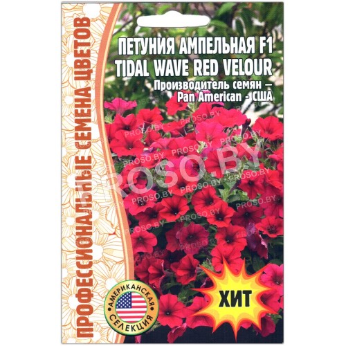 Петуния ампельная Tidal wave red velour F1
