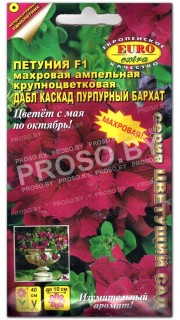 Петуния ампельная Дабл каскад Пурпурный бархат F1