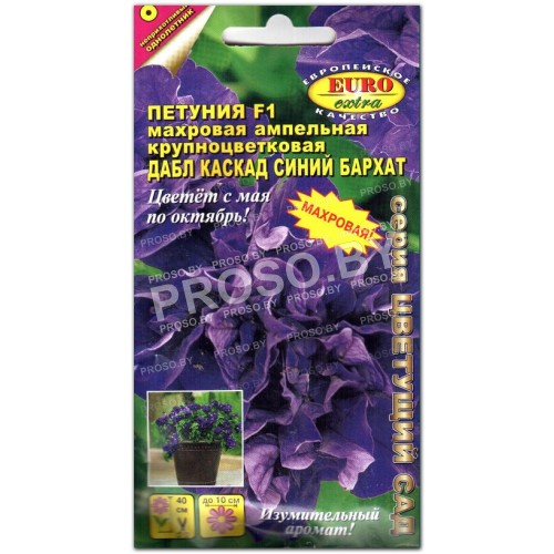 Петуния Дабл каскад Синий бархат F1