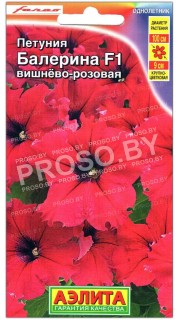 Петуния крупноцветковая Балерина вишнево-розовая F1