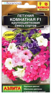 Петуния крупноцветковая Комнатная F1, смесь