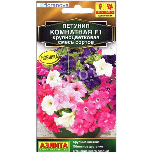 Петуния крупноцветковая Комнатная F1, смесь