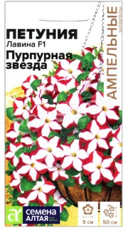 Петуния Лавина пурпурная звезда F1