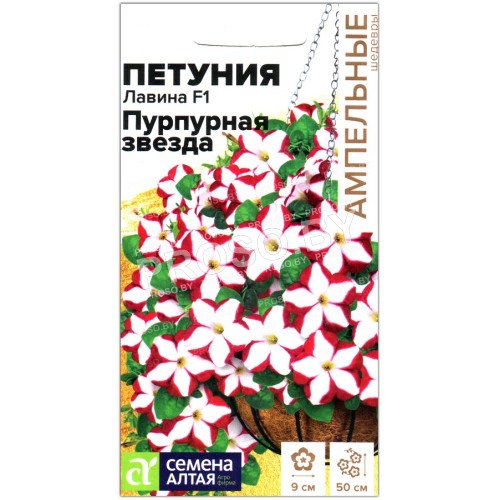 Петуния Лавина пурпурная звезда F1