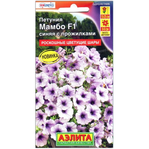 Петуния Мамбо синяя с прожилками F1