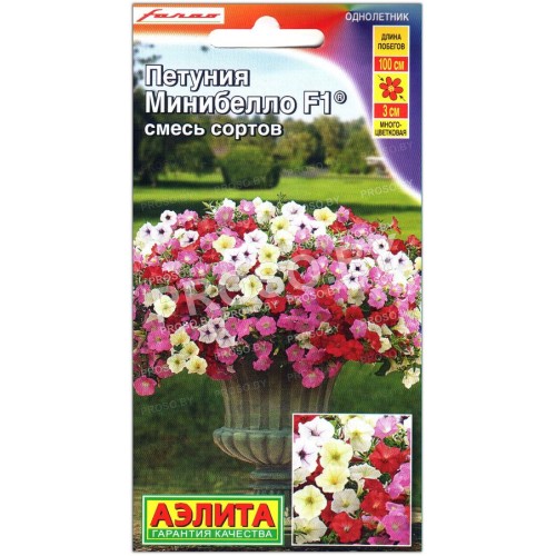 Петуния мини многоцветковая Минибелло F1, смесь