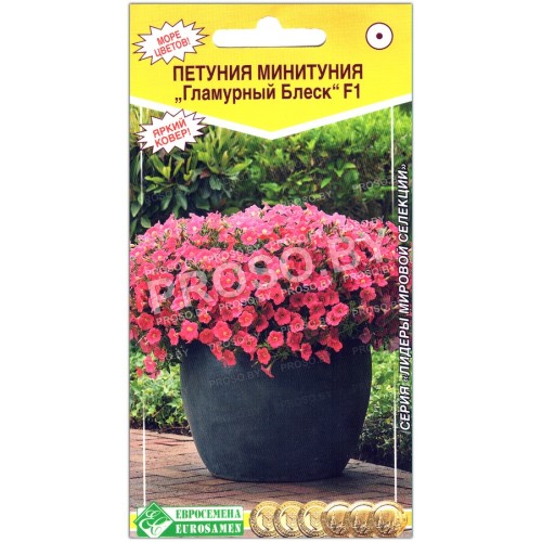 Петуния минитуния Гламурный блеск F1